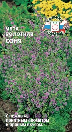 Мята_болотная Соня_0,1_г._Седек