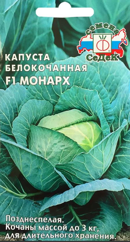 Капуста_б/к_Монарх F1 (позд)_0,04_г._Седек