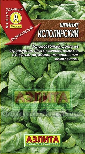 Шпинат_Исполинский_3_г._Аэлита