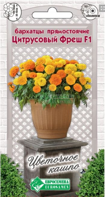 Бархатцы (тагетис)_Цитрусовый Фреш F1 (Цветочное Кашпо)_10_шт._Евросемена