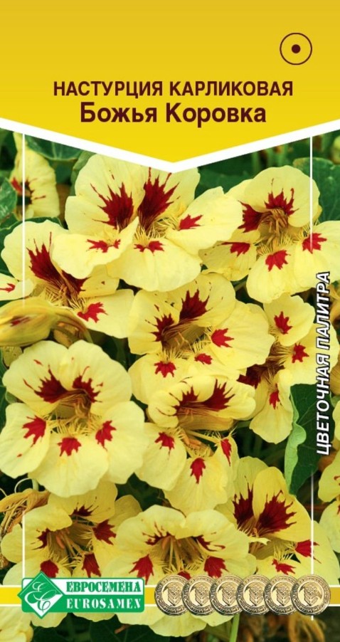 Настурция_Божья Коровка_1_г._ЕВРОСЕМЕНА