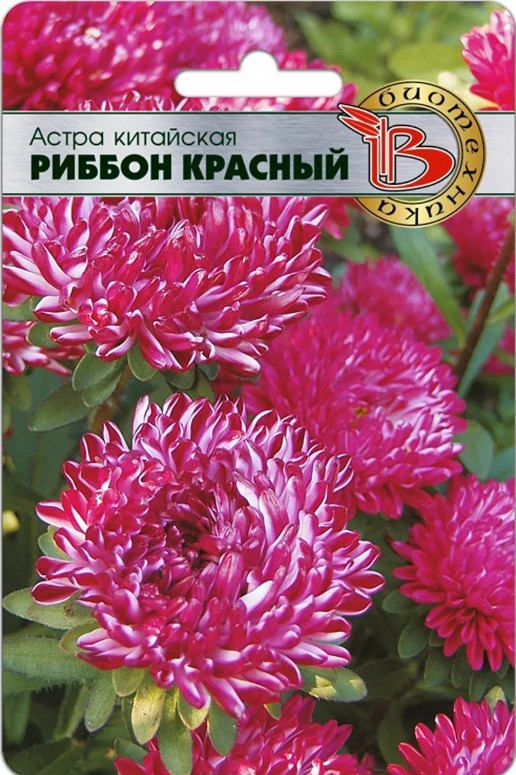 Астра_Риббон Красный (пионовидная)_30_шт._Биотехника