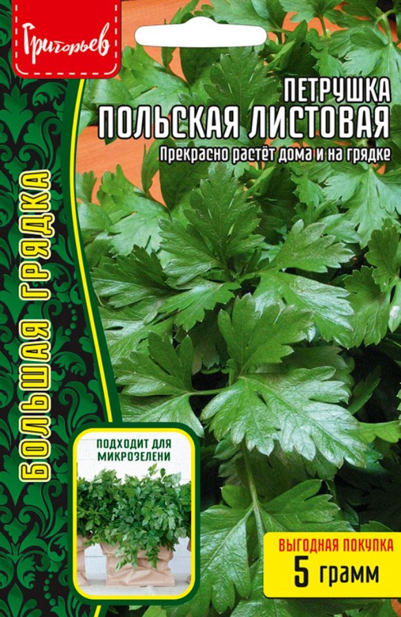 Петрушка_Польская (листовая) б/ф_5_г._Григорьев