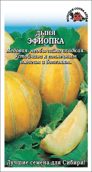 Дыня_Эфиопка_0,5_г._Золотая Сотка Алтая