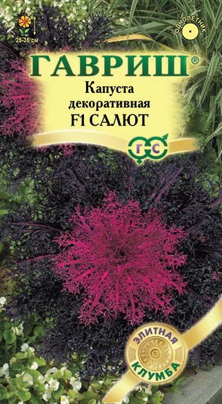 Капуста_декоративная_Салют F1_6_шт._Гавриш