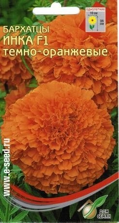 Бархатцы (тагетис)_Инка темно-оранжев_5_шт._Дом Семян С-П
