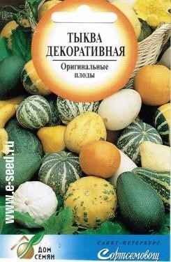 Тыква декоративная_Мелкоплодная см_6_шт._Дом Семян С-П