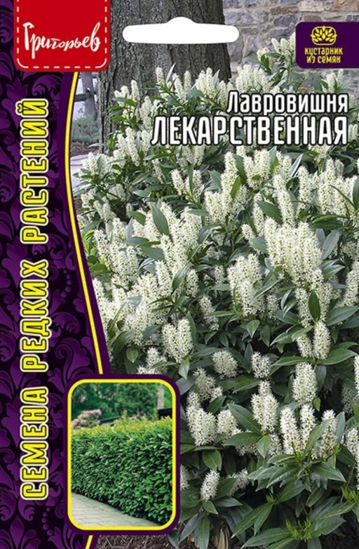 Лавровишня_Лекарственная б/ф_3_шт._Григорьев