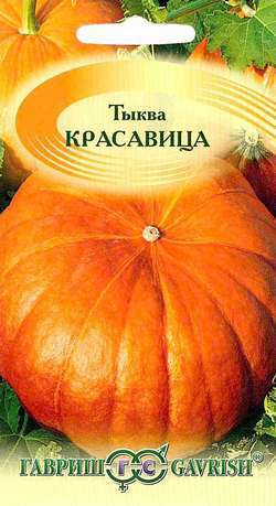 Тыква_Красавица_1_г._Гавриш