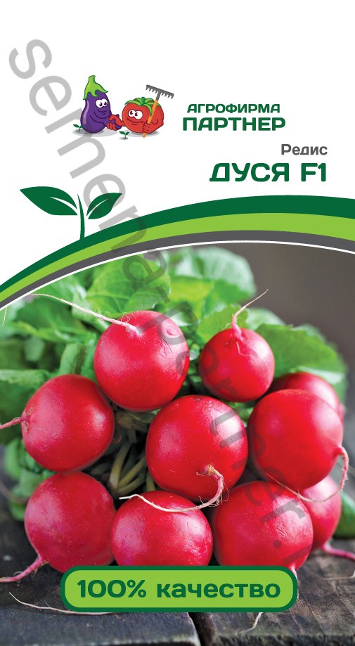 Редис_Дуся F1_1_г._Партнер