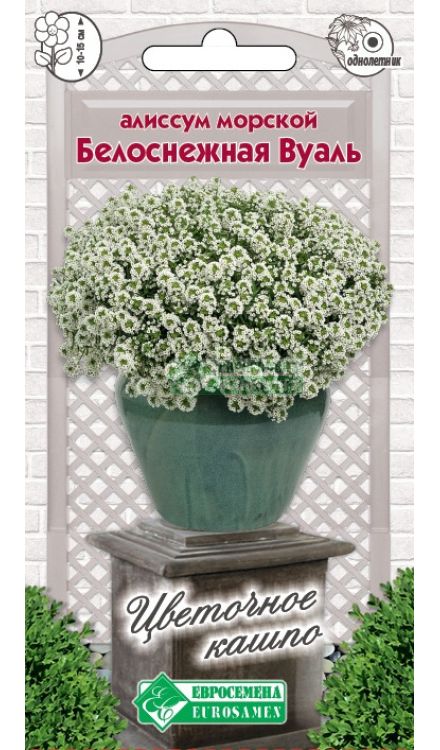 Алиссум (лобулярия)_Белоснежная Вуаль (Цветочное Кашпо)_10_шт._Евросемена