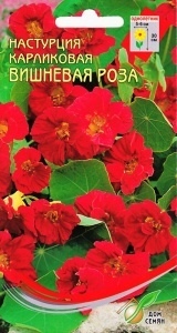 Настурция_Вишневая роза (куст)_8_шт._Дом Семян С-П