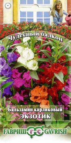 Бальзамин_Экзотик см (Чудесный балкон)_0,1_г._Гавриш