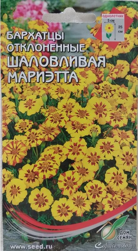 Бархатцы (тагетис)_Шаловливая Мариэтта_80_шт._Дом Семян С-П