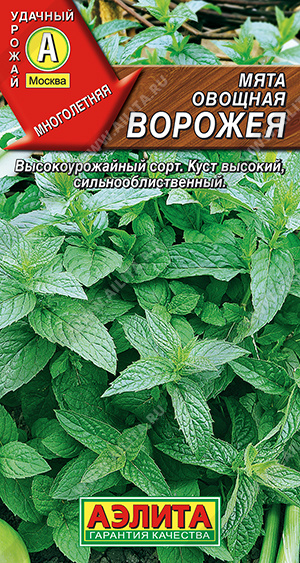Мята_Ворожея_0_г._Аэлита