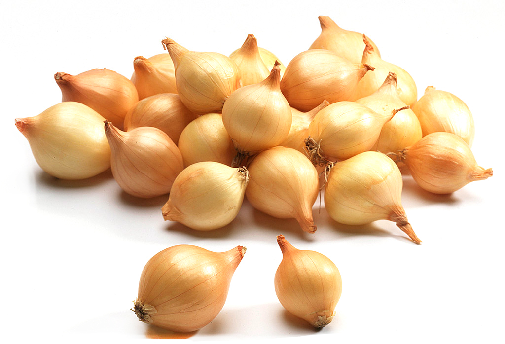 Лук-севок Штуттгартер Россия  ( крупный )