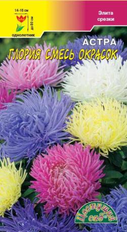 Астра_Глория см (хризантемовидная)_0,2_г._Цветущий Сад