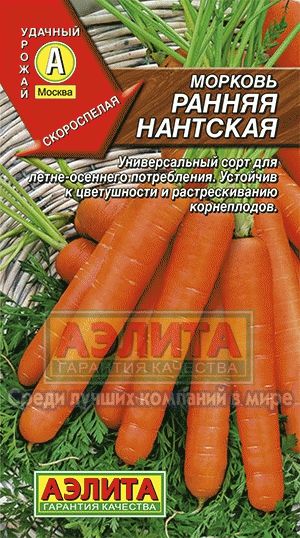 Морковь_Ранняя Нантская_2_г._Аэлита