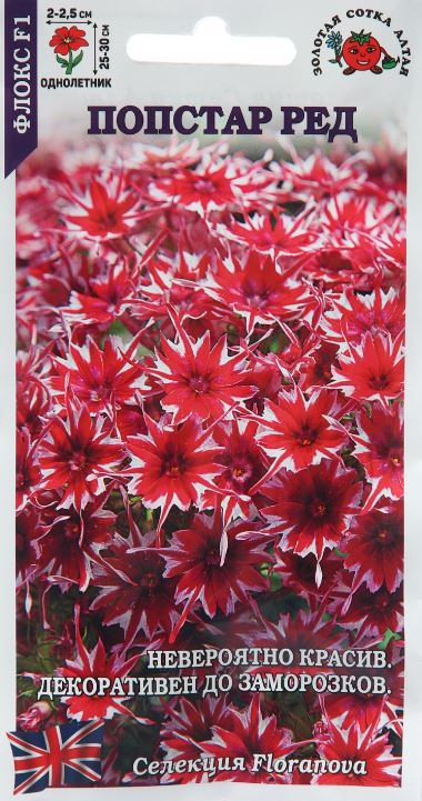 Флокс_Попстар F1 Ред_0,04_шт._Золотая Сотка Алтая