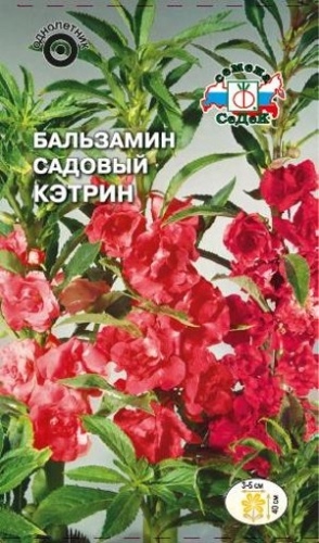 Бальзамин_Кэтрин (ярко-малин)_0,2_г._Седек