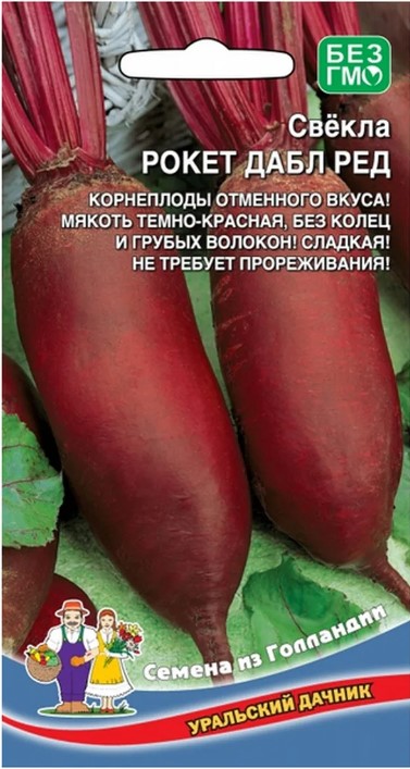 Свекла_Рокет Дабл Ред цилиндр_2_г._Уральский Дачник