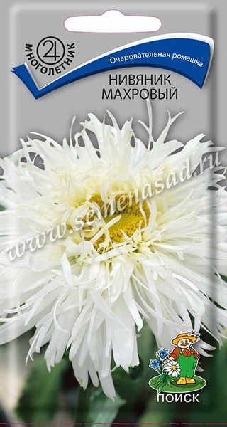 Нивяник_Махровый_0,1_г._Поиск