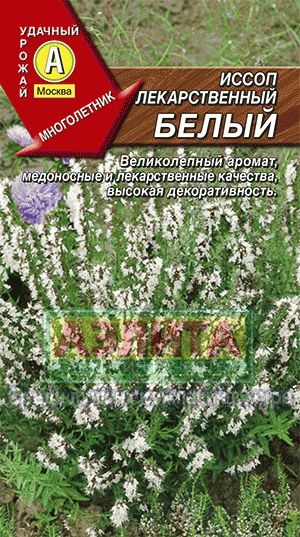 Иссоп_Лекарственный белый_0,1_г._Аэлита
