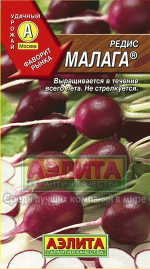 Редис_Малага фиолетовый_2_г._Аэлита