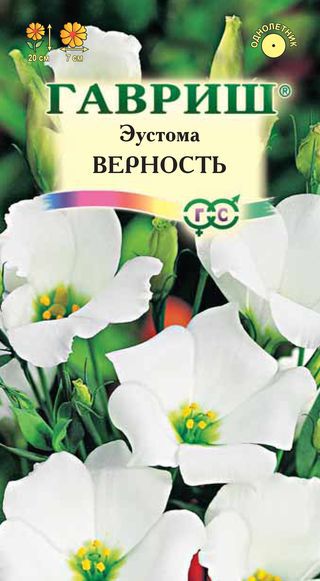 Эустома (Лизиантус)_Верность F1 белая_4_шт._Гавриш