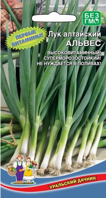 Лук_Альвес (алтайский)_0,3_г._Уральский Дачник