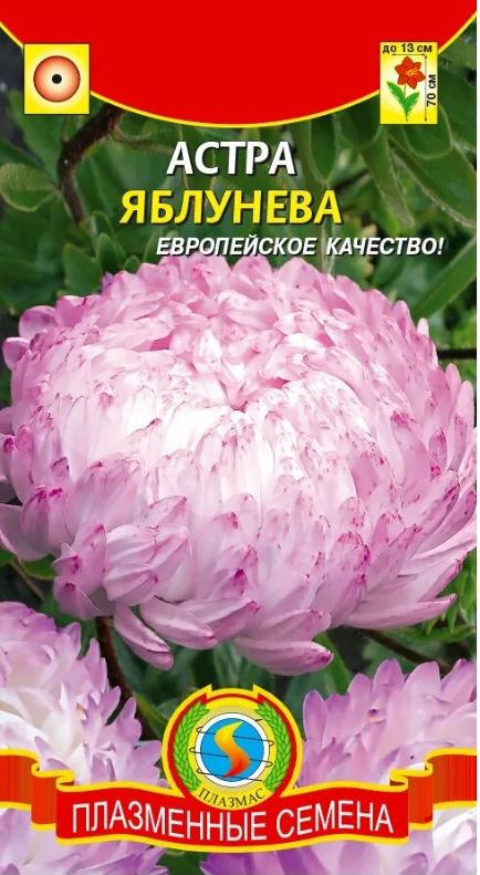 Астра_Яблунёва (пионовидная)_0,04_г._Плазменные семена