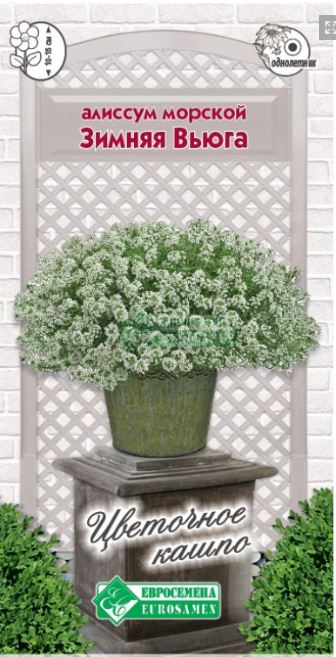 Алиссум (лобулярия)_Зимняя Вьюга (Цветочное Кашпо)_5_шт._Евросемена