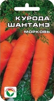 Морковь_Курода Шантанэ_1_г._Сибирский Сад