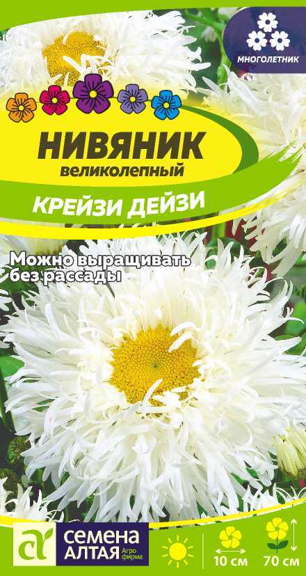 Нивяник_махр Крейзи Дейзи_0_г._Семена Алтая