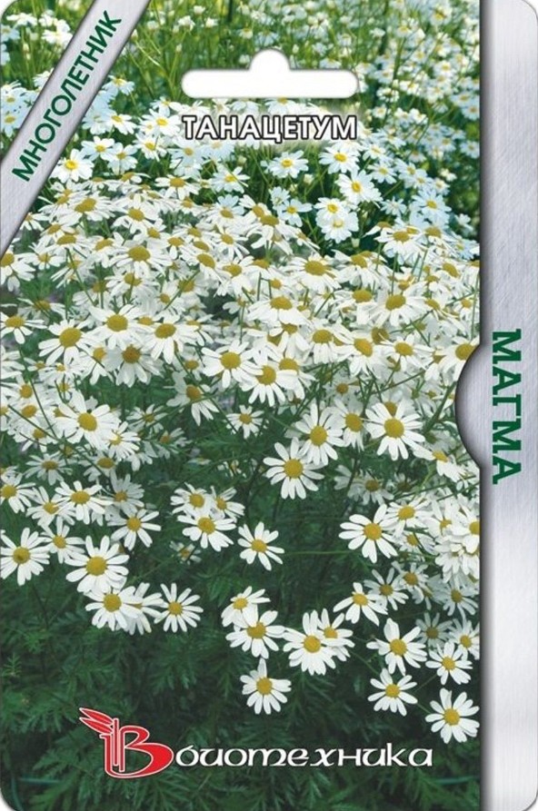 Матрикария (танацетум)_Магма_50_шт._Биотехника