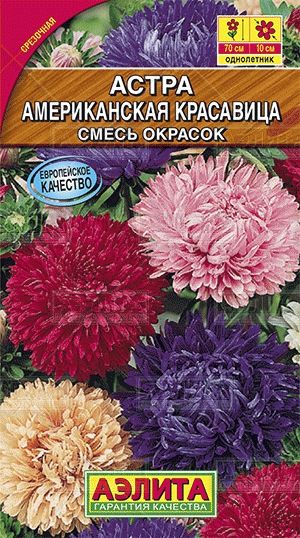 Астра_Американская красавица см (пионовидная)_0,2_г._Аэлита