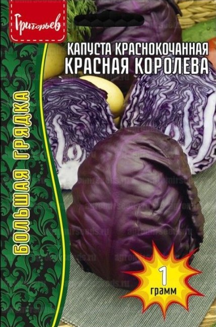 Капуста_кр/к_Красная Королева б/ф_1_г._Григорьев