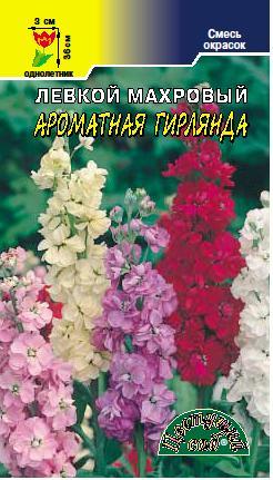 Левкой (маттиола)_Аромат гирл см_0,1_г._Цветущий Сад