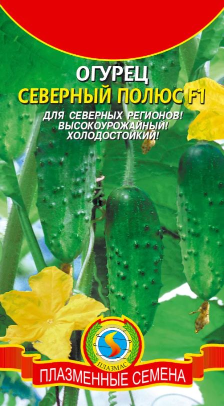 Огурец_Северный полюс F1_0,04_шт._Плазменные семена