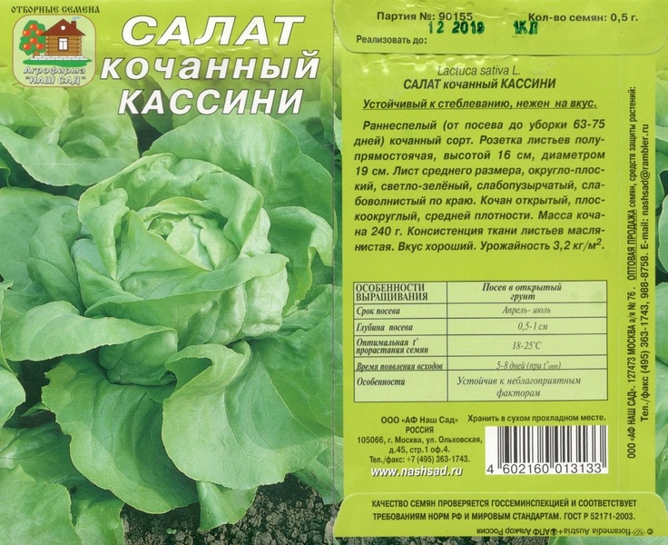 Салат_Кассини (кочан)_0,5_г._Наш Сад