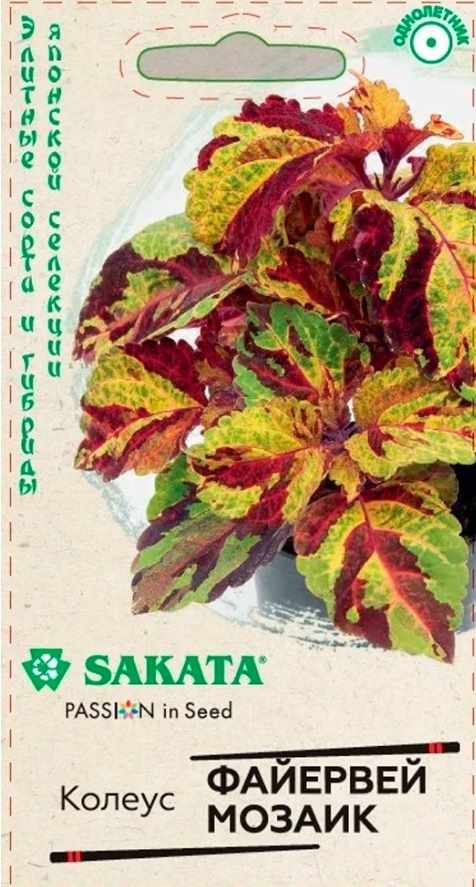 Колеус_Файервей Мозаик (Sakata)_0,04_шт._Гавриш