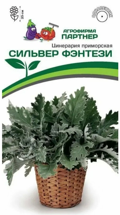 Цинерария_Сильвер Фэнтези (приморская)_15_шт._Партнер