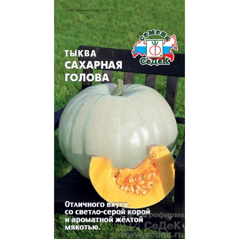 Тыква_Сахарная голова_1_г._Седек