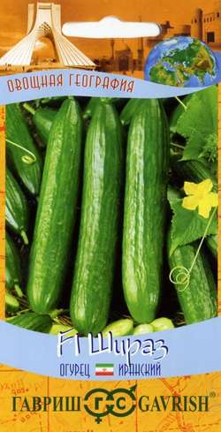 Огурец_Шираз F1 иранский_10_шт._Гавриш