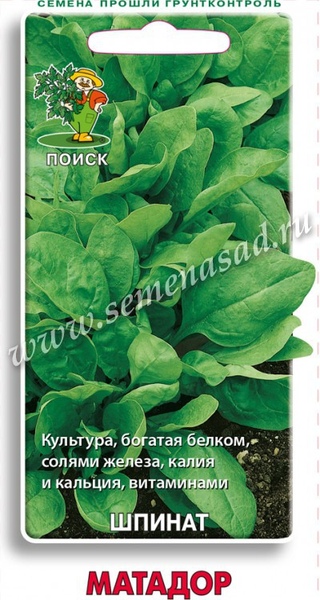 Шпинат_Матадор_3_г._Поиск