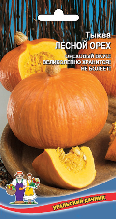 Тыква_Лесной орех_5_шт._Уральский Дачник