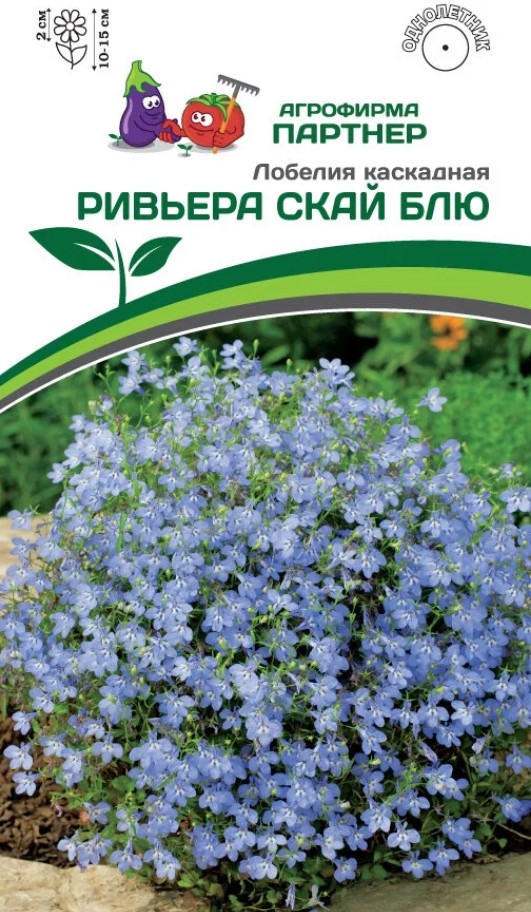 Лобелия_Ривьера Скай Блю_10_шт._Партнер