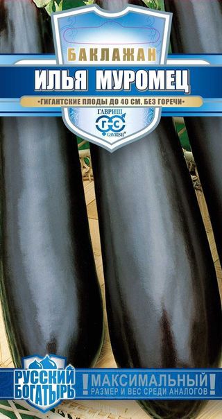Баклажан_Илья Муромец (Русский богатырь)_0,1_г._Гавриш