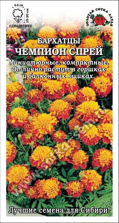 Бархатцы (тагетис)_Чемпион Спрей_0,2_г._Золотая Сотка Алтая