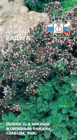 Душица (орегано)_Радуга_0,1_г._Седек